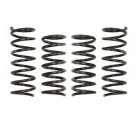 EIBACH E5530-140 Ressorts de suspension