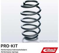 EIBACH F11-75-025-01-FA Ressort de suspension