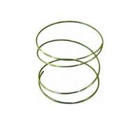 Hotpoint - Ressort disque pour bouton de four C00016035 (482000022582)