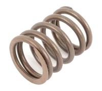 Ressort extérieur de soupape d'origine pour VW Golf 1 avec poussoirs mécaniques