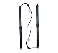 Ressort Gaz Hayon pour Toyota pour Rav4 2019 Tige de Support de hayon électrique Jambe de Force hydraulique de hayon Oe: 6892042020 689100R060(A Pair)