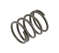 Ressort piston d=29mm, 4.007.0025 - nettoyeur haute pression