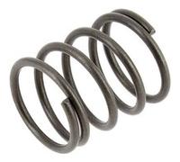 ADEPEM A VOS MARQUES, PRÊT, REPAREZ ! Ressort Piston d=29mm, 4.007.0025 pour Nettoyeur Haute Pression