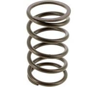Ressort piston pour Nettoyeur haute pression Ryobi G
