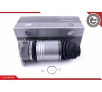 Ressort Pneumatique Air Arrière Droite Skv pour Audi A8 D3 (4E2, 4E8) 4E0616002N