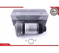 Ressort Pneumatique Air Arrière Gauche Skv pour Audi A8 D3 (4E2, 4E8) 4E0616001N