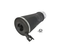 Arnott A-2220 Ressort pneumatique