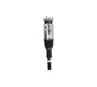 Ressort pneumatique ARNOTT EUROPE AS-3368