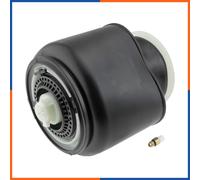 Ressort pneumatique arrière pour BMW | 0296330, 0830082