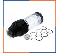 Ressort pneumatique arrière pour TESLA | 6006353-04-A, EZC-CH-065