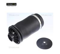 Ressort pneumatique, châssis Triscan 8720 23204