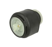 Ressort pneumatique MAGNUM TECHNOLOGY MZB014MT