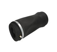 Magnum Technology MZY001MT Ressort pneumatique