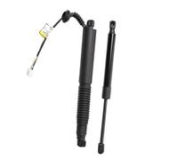 Ressorts À Gaz Hayon pour Tesla pour Modèle 3 2021-2023 Arrière Gauche Droite Hayon Électrique Entretoise Coffre 1551488-99-B 1551488-00-C 1551488-98-B 1551489-00-B