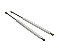 Ressorts À Gaz Pour Mitsubishi Pour Lancer 9 2003-2020 Capot Avant Capot Modifier Vérins À Gaz Amortisseur À Ressort En Fibre Carbone Support Levage Absorbeur Gasdruckfeder(SILVER CARBON FIBER)