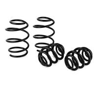 Ressorts courts Eibach -30mm pour BMW E46 316i,318i et 318Ci - par 4