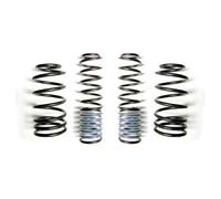 Ressorts courts EIBACH pour Golf 4 & Bora GTi, TDi & V5 - 4 pièces