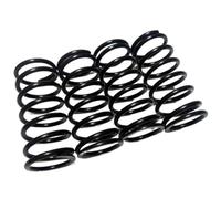 Ressorts d'amortisseurs Haute Performance en Acier trempé HD (24 LB) #5460 for Traxxas E-Revo, E-Revo 2.0, Revo Slayer Pro 4x4 et Summit(Zwart)