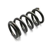 Ressorts de compression à ressorts en acier, 5 pièces, ressort 2.5mm x 31mm x 20mm, noir, 5 pièces, 2,5x31x20mm