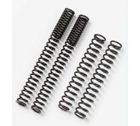 Ressorts de fourche Bitubo avec huile de fourche MOTOREX