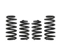 Ressorts EIBACH Pro Kit E10-15-008-05-22