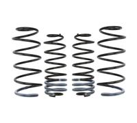 Ressorts EIBACH Pro Kit E10-22-003-01-22