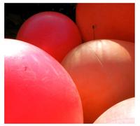 Rest & Be Thankful [Import]