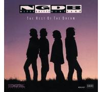 Rest of the Dream by Nitty Gritty Dirt Band (1990-06-12)