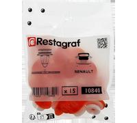 Restagraf - Agrafe de Fixation Carrosserie - Spécial Panneau pour Garniture Intérieure & Hayon - Compatible avec RENAULT ESPACE IV, MODUS - Réf. 10840 - Sachet de 15