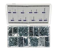 Restagraf Assortiment de Vis à Métaux Têtes Cylindrique Fendue Din 84 et Écrous Din 934 M3-0.50-M5-0.80, Lot de 557