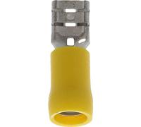 Restagraf - Cosse Plate Pré-Isolée Femelle Renforcée - Pour Fils Électriques de 2,6 à 6 mm² - Dimension 6,35 x 0,8 mm - Sertissage Simple & Solide - Réf. 226946 - Blister de 8