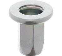 Restagraf - Écrou à Sertir à Fût Hexagonal M6 - 1.00 - Pour Support 0,8 à 1 mm - Acier C4C - Montage sans Soudure - Fixation Métallique pour Carrosserie, Support ou Panneau - Réf.9828 - Sachet de 12