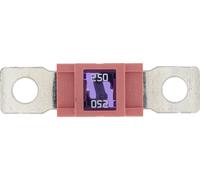 Restagraf - Fusible Méga - Protection Circuit Électrique de 250 A et 32 V - Pour l'Automobile et l'Industrie - Réf. 317144 - Boîte de 8