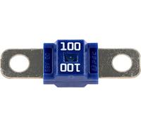 Restagraf - Fusible Midi - Protection Circuit Électrique de 100 A et 58 V - Pour l'Automobile et l'Industrie - Réf. 317136 - Boîte de 10