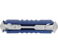 Restagraf - Fusible Stéatite pour Automobile - Puissance 8 A - Compatible avec BMW, Ford, Mercedes, Porsche, Renault, Volkswagen - Réf. 6881 - Sachet de 10