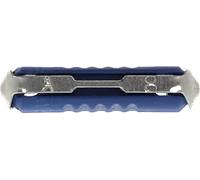 Restagraf - Fusible Stéatite pour Automobile - Puissance 8 A - Compatible avec BMW, Ford, Mercedes, Porsche, Renault, Volkswagen - Réf. 6881 - Sachet de 10