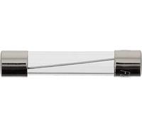 Restagraf - Fusible Verre - Protection Circuit Électrique de 20 A - Pour l'Automobile et l'Industrie - Réf. 6865 - Sachet de 10