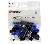 Restagraf - Kit de Fixations pour Aile Avant C4 CACTUS Toutes Versions (06/2014 à 12/2020) - Kit Complet pour Réparation ou Remplacement - Réf. 605009B