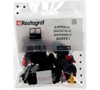 Restagraf - Kit de Fixations pour Portes Arrière JUMPER III, DUCATO 3, BOXER 3 (Phase 2) (06/2014 à Aujourd'hui), MOVANO C (10/2021 à Aujourd'hui) - Réf. 606003R