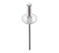 Restagraf - Rivet Tête Large Aluminium & Tige Acier - Compatible avec FIAT 500, BRAVO II, GRANDE PUNTO/EVO - Diamètre 4,8 mm - Longueur 14 mm - Réf. 40603 - Boîte de 250