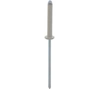 Restagraf - Rivets Cannelés Blancs pour Plaques d'Immatriculation - Diamètre 4 mm - Fixation Durable sur Carrosserie ou Support Plastique - Réf. 4735 - Sachet de 30