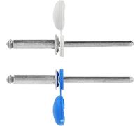 Restagraf - Rivets Épanouis avec Chapos Bleus, Blancs pour Plaques d'Immatriculation - Diamètre 4 mm - Longueur 16 mm - Réf. 225106 - Blister de 15