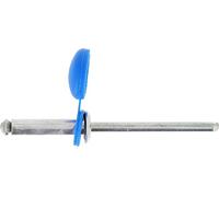 Restagraf - Rivets Épanouis avec Chapos Bleus pour Plaques d'Immatriculation - Diamètre 4 mm - Fixation Durable sur Carrosserie ou Support Plastique - Réf. 4779 - Sachet de 68