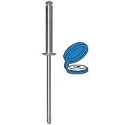 Restagraf - Rivets Épanouis avec Chapos Bleus pour Plaques d'Immatriculation - Diamètre 4 mm - Fixation Durable sur Carrosserie ou Support Plastique - Réf. 4782 - Boîte de 300