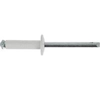 Restagraf - Rivets Épanouis Blancs pour Plaques d'Immatriculation - Diamètre 4,8 mm - Fixation Durable sur Carrosserie ou Support Plastique - Réf. 4711 - Sachet de 29