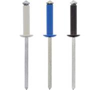 Restagraf - Rivets Épanouis Bleus, Blancs, Noirs pour Plaques d'Immatriculation - Diamètre 4 mm - Fixation Durable sur Carrosserie ou Support Plastique - Réf. 228445 - Blister de 8