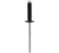 Restagraf - Rivets Épanouis Noirs pour Plaques d'Immatriculation - Diamètre 4,8 mm - Fixation Durable sur Carrosserie ou Support Plastique - Réf. 4921 - Boîte de 250
