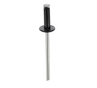 Restagraf - Rivets Épanouis Noirs pour Plaques d'Immatriculation - Diamètre 4 mm - Fixation Durable sur Carrosserie ou Support Plastique - Réf. 4914 - Boîte de 250