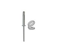 Restagraf - Rivets Expansés avec Chapos Blancs pour Plaques d'Immatriculation - Diamètre 4 mm - Fixation Durable sur Carrosserie ou Support Plastique - Réf. 4545 - Sachet de 30