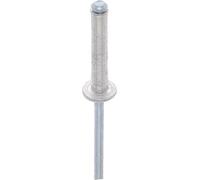 Restagraf - Rivets Expansés Blancs pour Plaques d'Immatriculation - Diamètre 4 mm - Fixation Durable sur Carrosserie ou Support Plastique - Réf. 40642 - Boîte de 250
